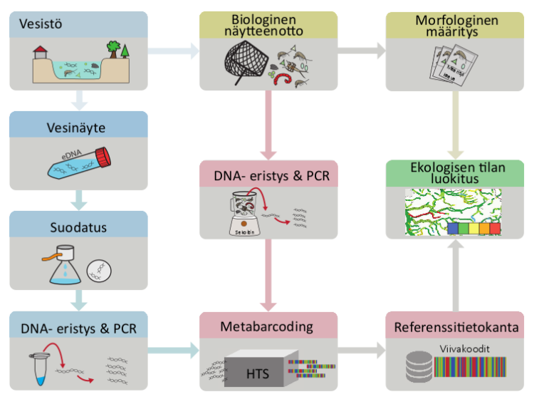 Infographic about metabarcoding